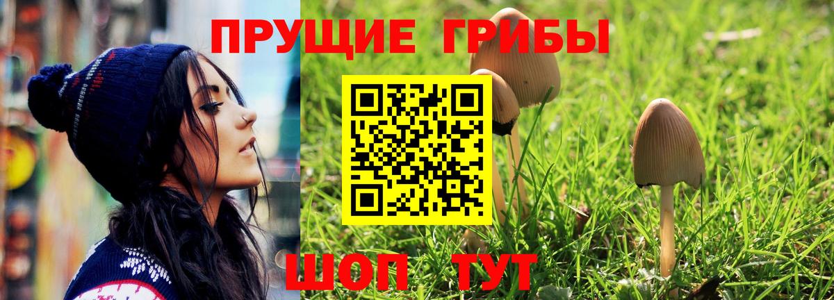 Галлюциногенные грибы прущие грибы Алейск