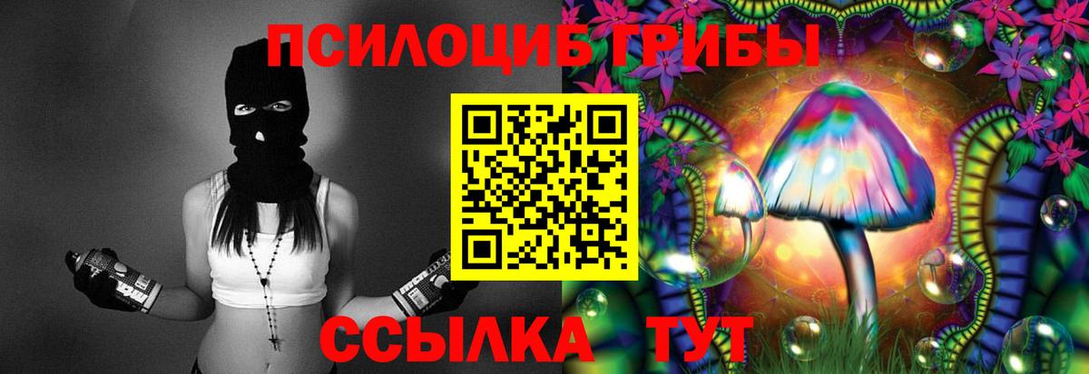 Алейск  Псилоцибиновые грибы мухоморы  Вход с VPN 